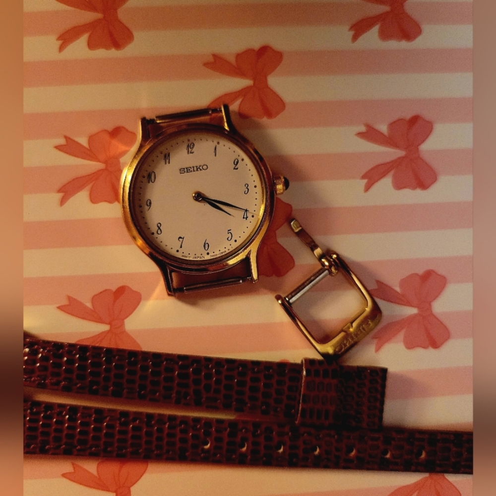 Seiko watch new strap